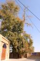 درخت و خانه قدیمی در استان سمنان