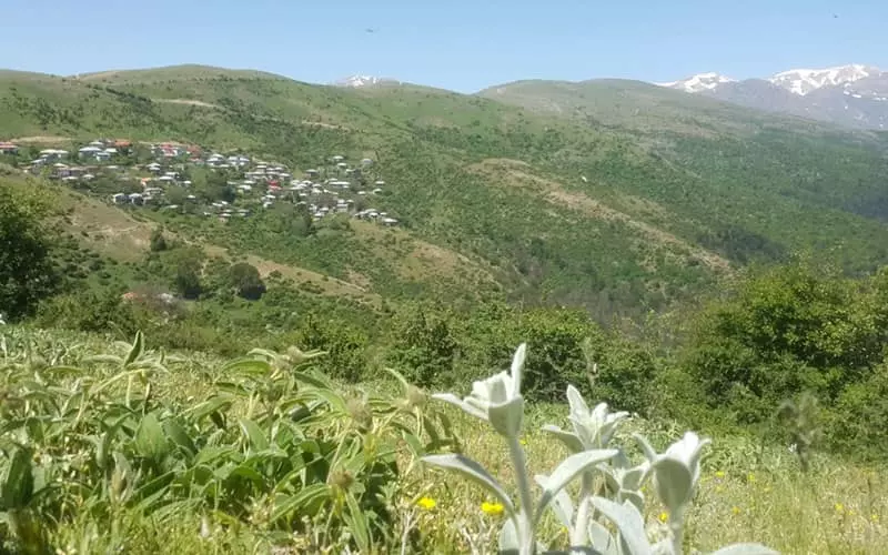 پوشش گیاهی اطراف روستایی ییلاقی در مازندران