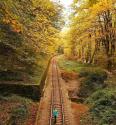 خط ریل راه آهن سراسری ایران میان جنگل پاییزی