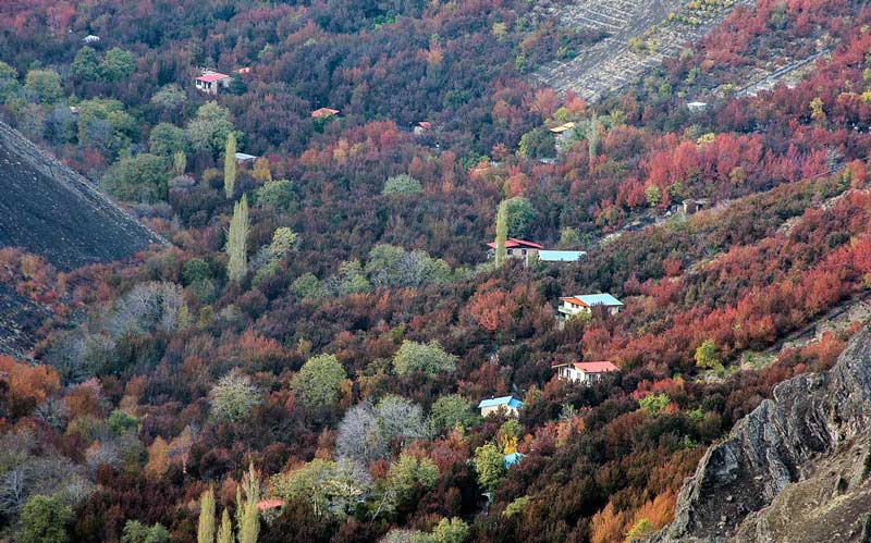 نمایی از درختان رنگارنگ روستای رندان در فصل پاییز