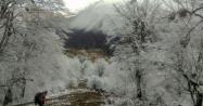 زمستان برفی در روستای زیارت