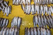 انواع ماهی در بازار بزرگ رشت‌