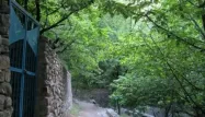 درختان سبز کنار دیوار سنگ چین روستای رندان