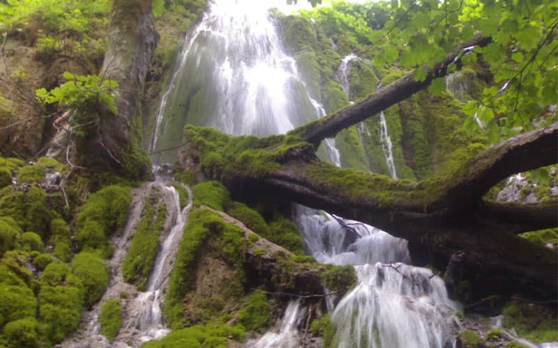 آبشاری پرآب در منطقه ای جنگلی