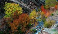 رودخانه و درختان رنگارنگ روستای سنگان در پاییز