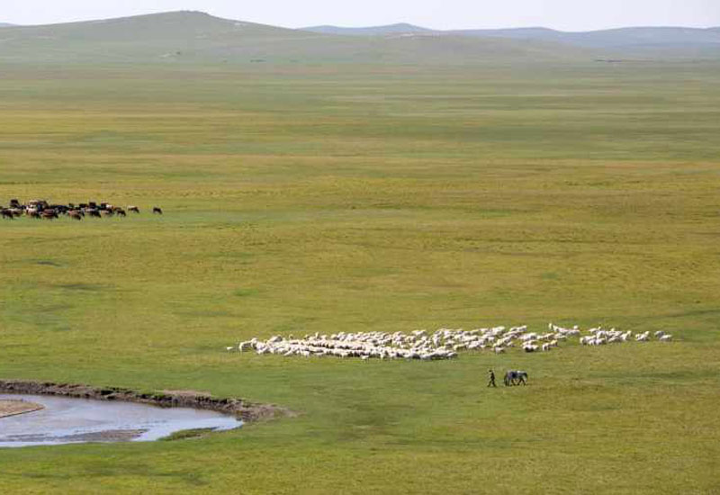 دشت‌های مغولستان