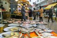 ماهی‌های تازه در بازار بزرگ رشت
