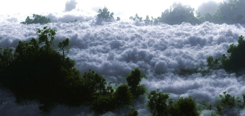 اقیانوس ابر در جنگل ابر شاهرود بین درختان