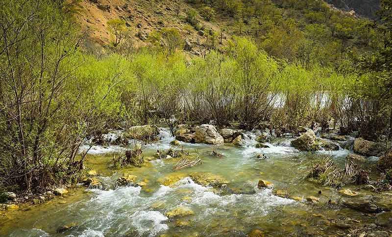 رودخانه و درختان سبز تنگ بستانک در جوار کوه