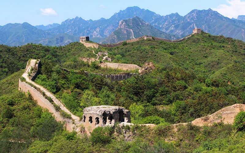 بخشی قدیمی و دست نخورده از دیوار چین در میان درختان