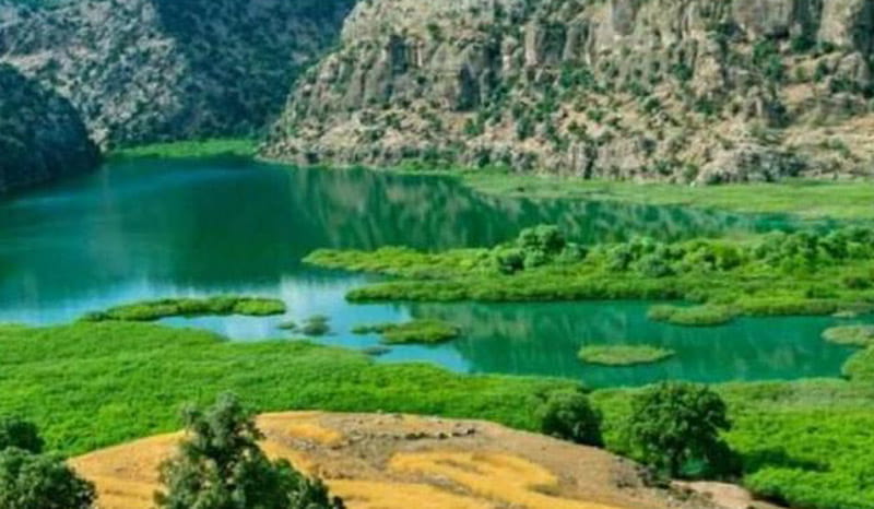 آب سبز دریاچه و چمنزار و کوه در دشت شیمبار