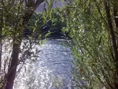 زاینده رود پر آب در شهرستان سامان