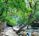 رودخانه روستای مارگون در مسیر درختان
