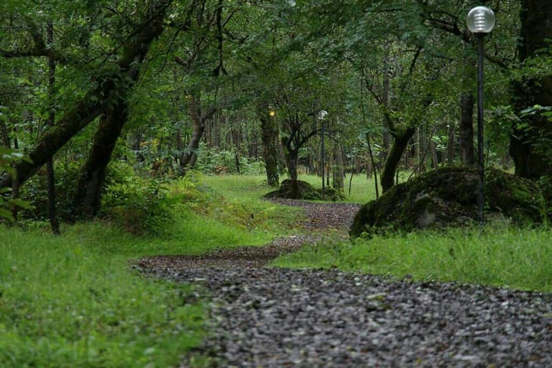 مسیرهای پارک جنگلی چالدره