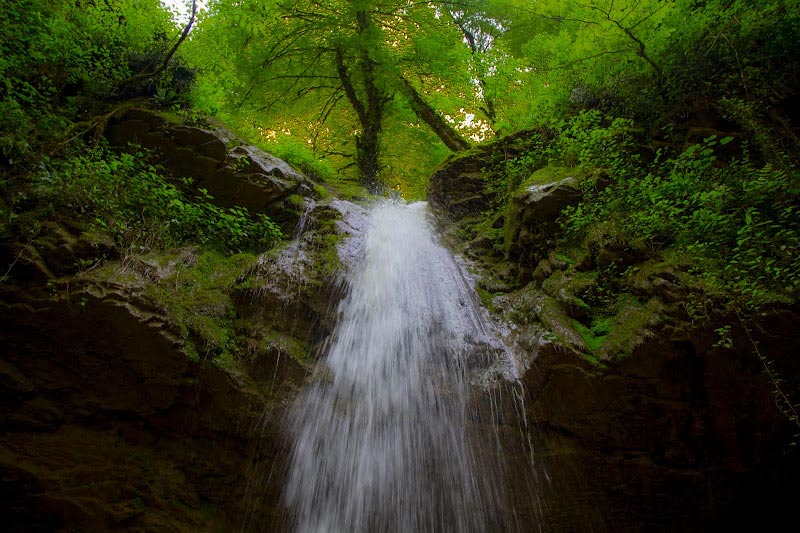 آبشار زیبای جنگل انجیلی
