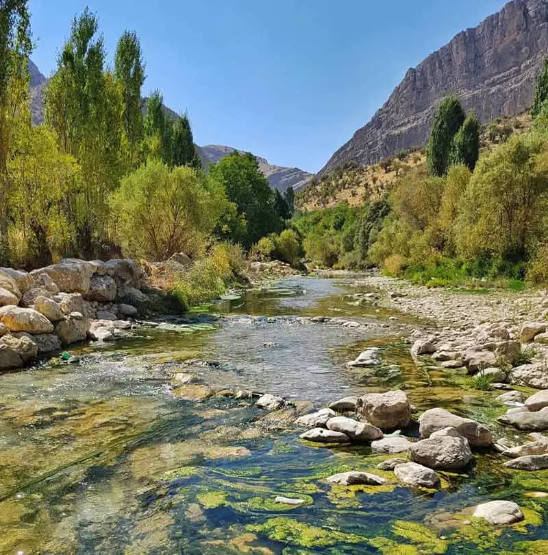 مسیر رودخانه تنگ تیزاب فارس میان درختان سبز 
