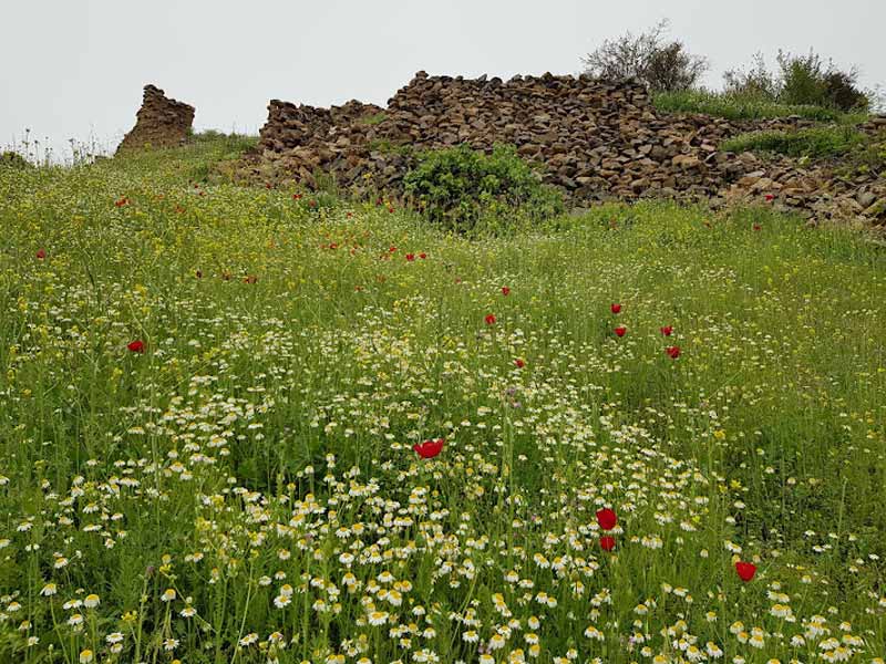 طبیعت بهاری روستای چشمه‌ سنگرود