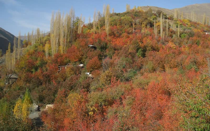 روستایی در میان درختان قرمز و سبز رنگ
