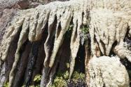 تزیینات طبیعت در چشمه‌ سنگرود