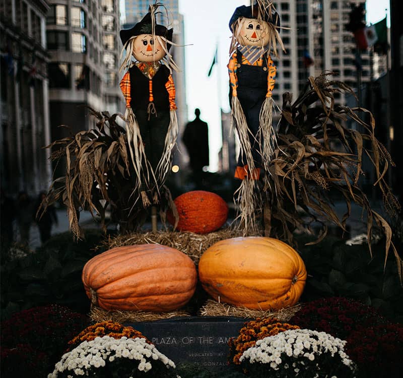 دو مترسک با تعدادی کدو تنبل در مراسم هالووین