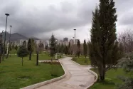 مسیر پیاده روی در بوستان پرواز سعادت آباد میان چنارهای سبز