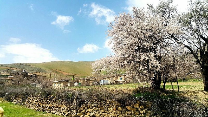 طبیعت زیبای روستای پریان