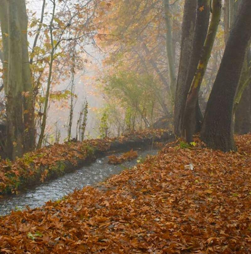 درختان پاییزی روستای اوره و رودخانه میان برگ های زرد