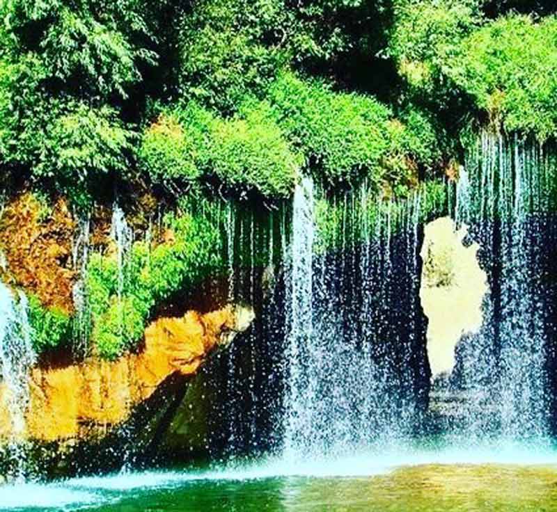 آبشار آب ملخ میان درختان از نمای رو به رو