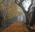 ویلاهای روستای اوره میان درختان پاییزی و زمین پوشیده از برگ زرد