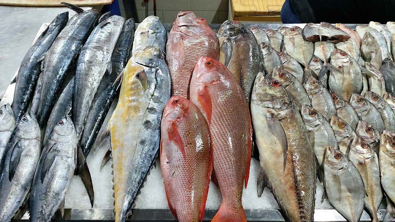 ماهی‌های تازه در بازار ماهی‌فروشان بندر عباس