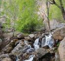 رودخانه آبشار شاه لولاک میان کوهستان و درخت های سبز