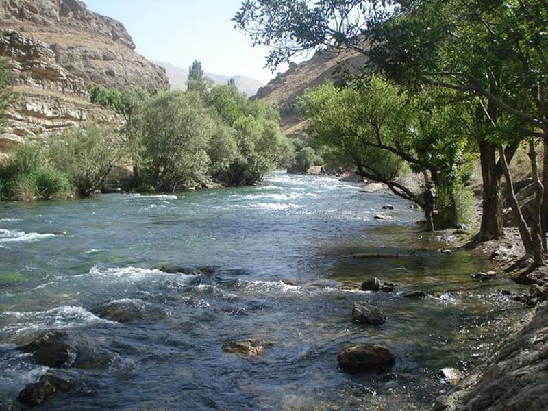 رودخانه فرحزاد در جوار درختان سبز در دره فرحزاد 