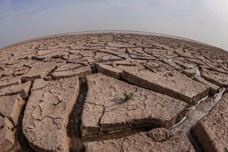 خشکسالی در تالاب هامون