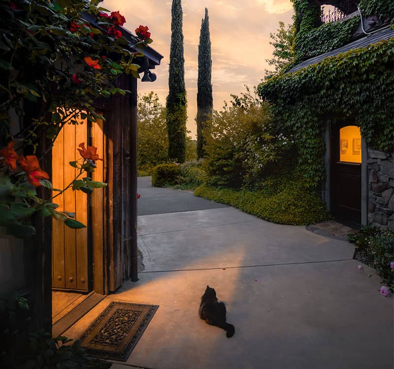 گربه سیاهی جلوی یک منزل روستای