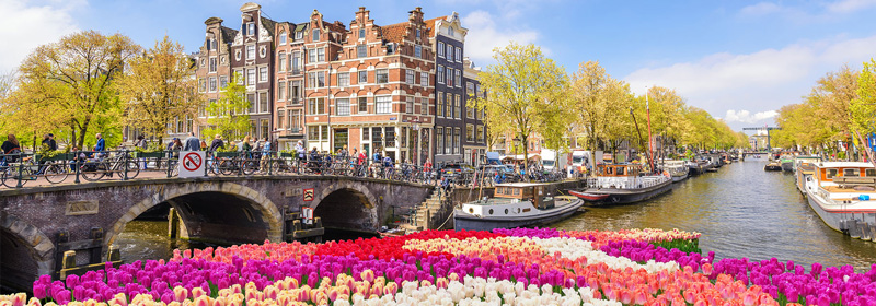 لاله‌های رنگارنگ در هلند