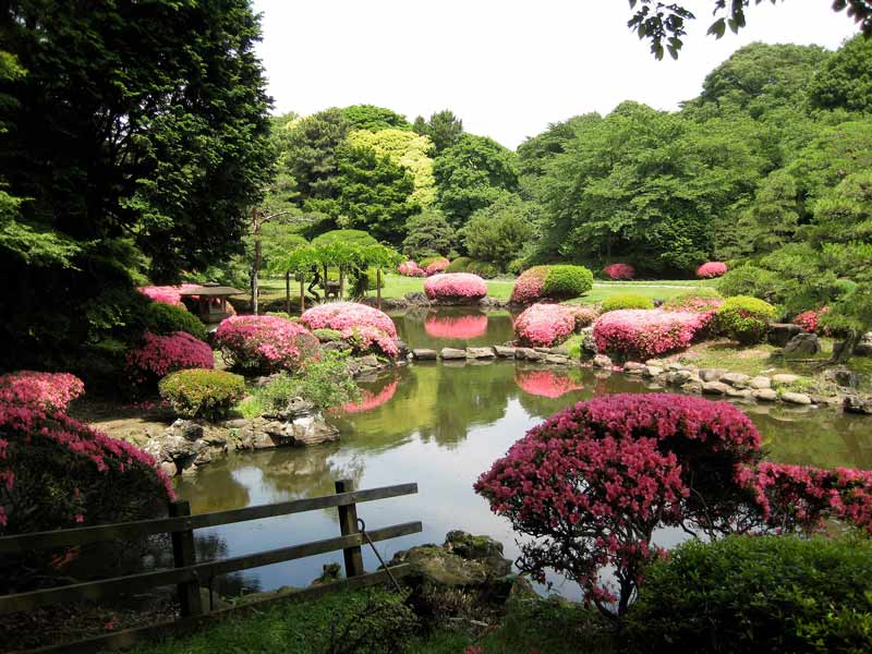 باغ ملی توکیو