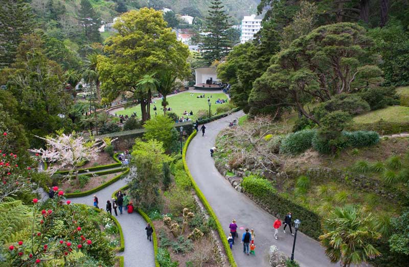 باغ گیاه‌شناسی ولینگتون در نیوزیلند
