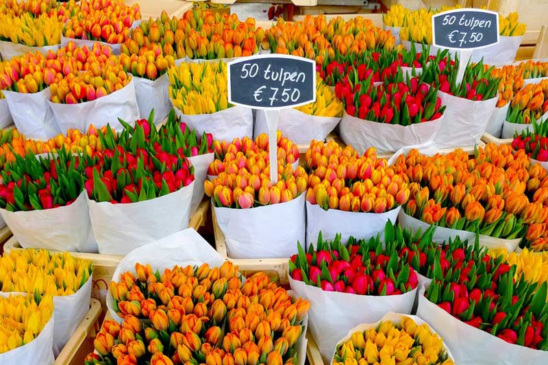 بازار گل آمستردام