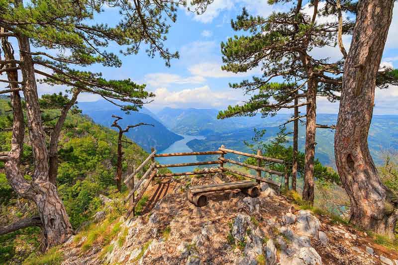 طبیعت کوه تارا صربستان