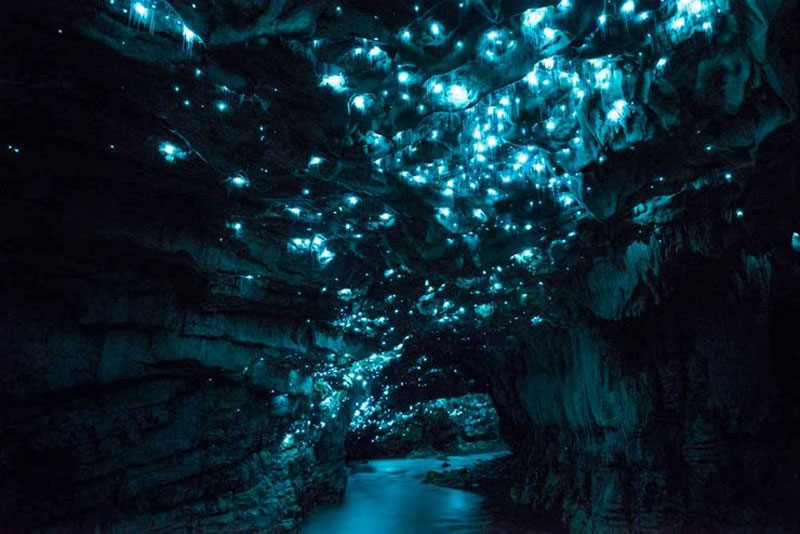 غار کرم‌های شب‌تاب وایتومو نیوزیلند