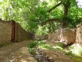 کوچه باغی در منطقه قصر دشت شیراز