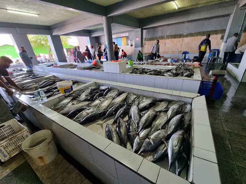 بازار ماهی ماله