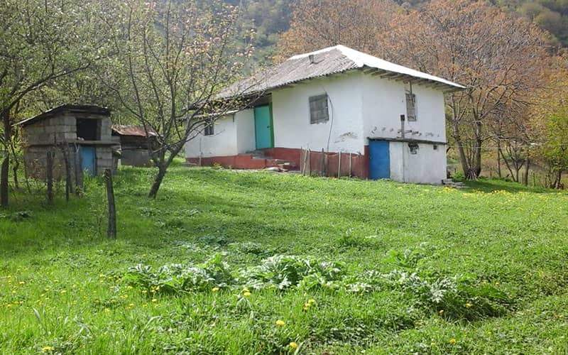 خانه ای روستایی در منطقه ای سرسبز