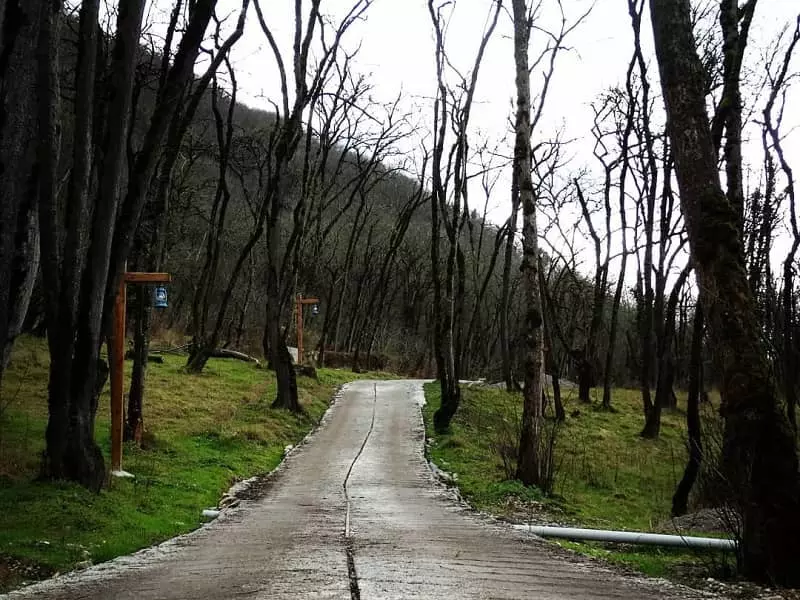 پارک جنگلی جوارم سوادکوه مازندران