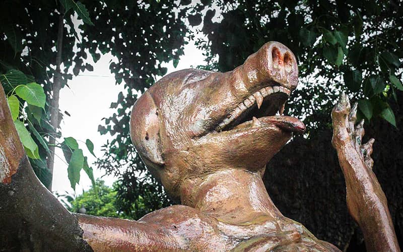 مجسمه ای به شکل خوک در معبد وانگ سائن سوک