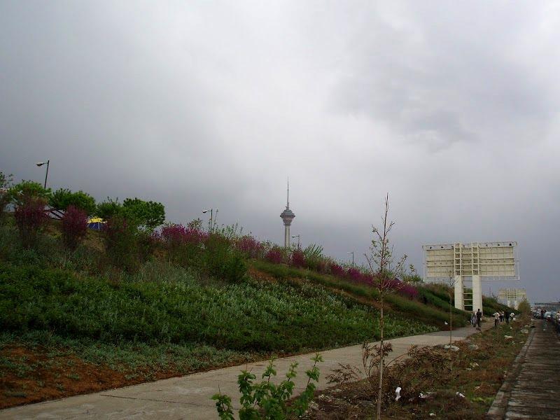 پارک سرسبز پردیسان با چشم انداز برج میلاد