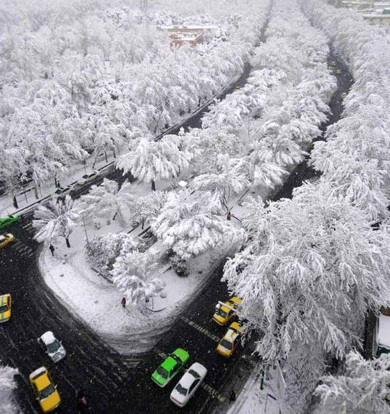 Arbres couverts de neige du boulevard Keshavarz d'en haut