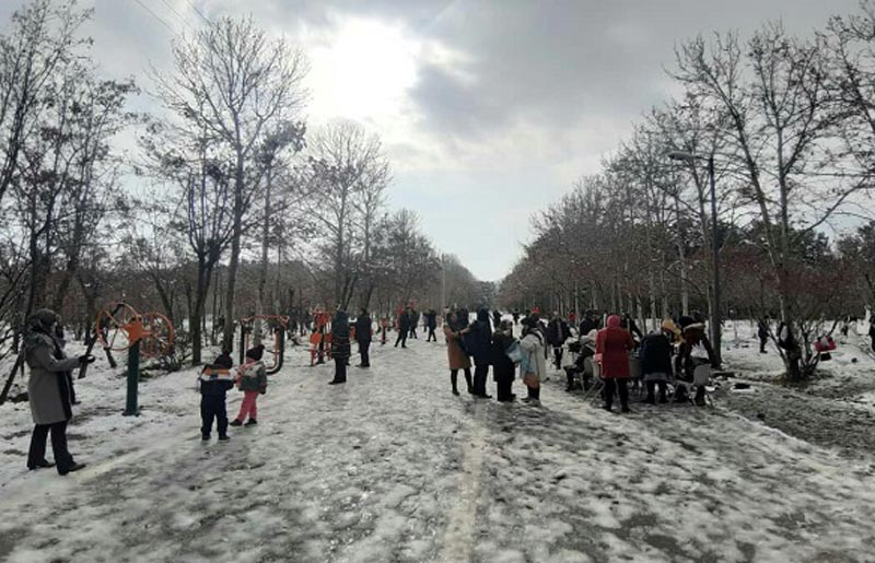 گردشگران در حال برف بازی در بوستان جنگلی سرخه حصار