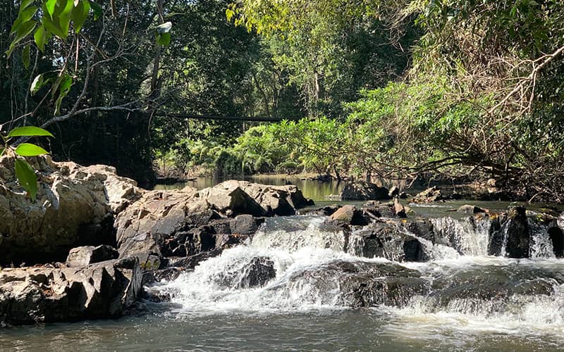 جریان رودخانه در پارک ملی کائو یای