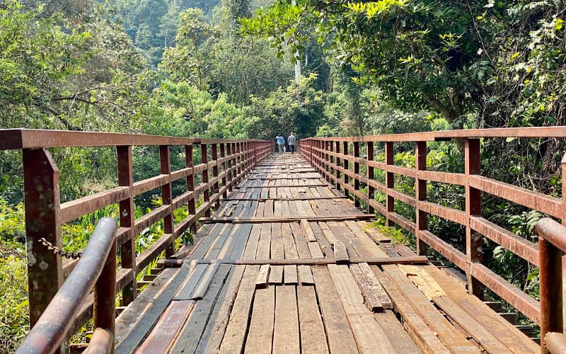پلی چوبی در پارک ملی کائو یای